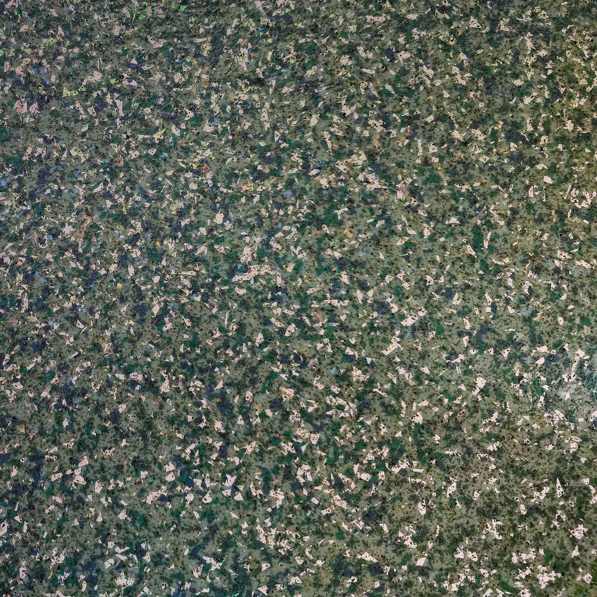 Full broadcast flake epoxy floor